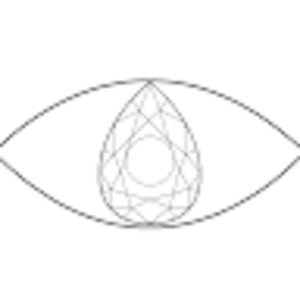 Meet your Posher, Ronnie